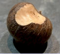 Tagua-Gravuren