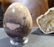 Eier Versteinertes Holz AAAA