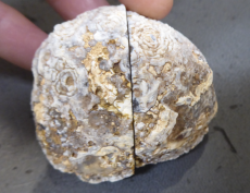 Achat-Drusen Paar AAA