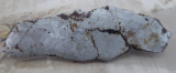Meteorit Platte, Gibeon