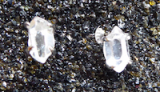 Herkimer Diamant Kette, Doppelender Bergkristall